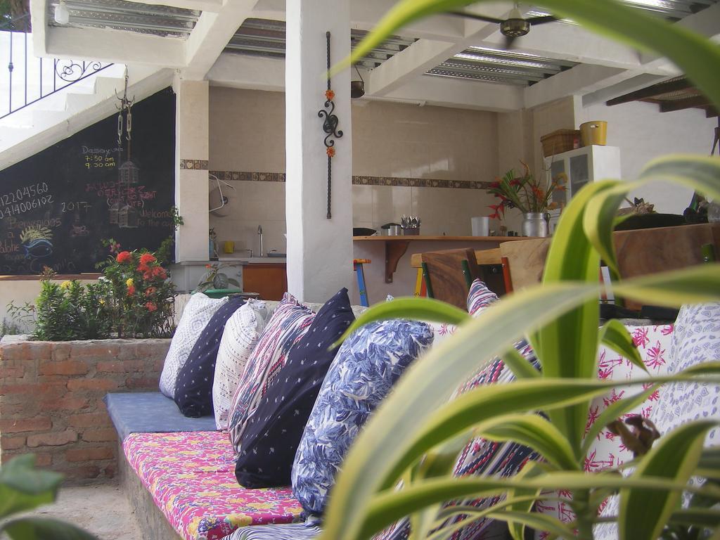 Hostal Palohe タガンガ エクステリア 写真